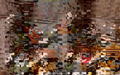 478C1c17 155A 46Dc 86A5 448A618ed27a