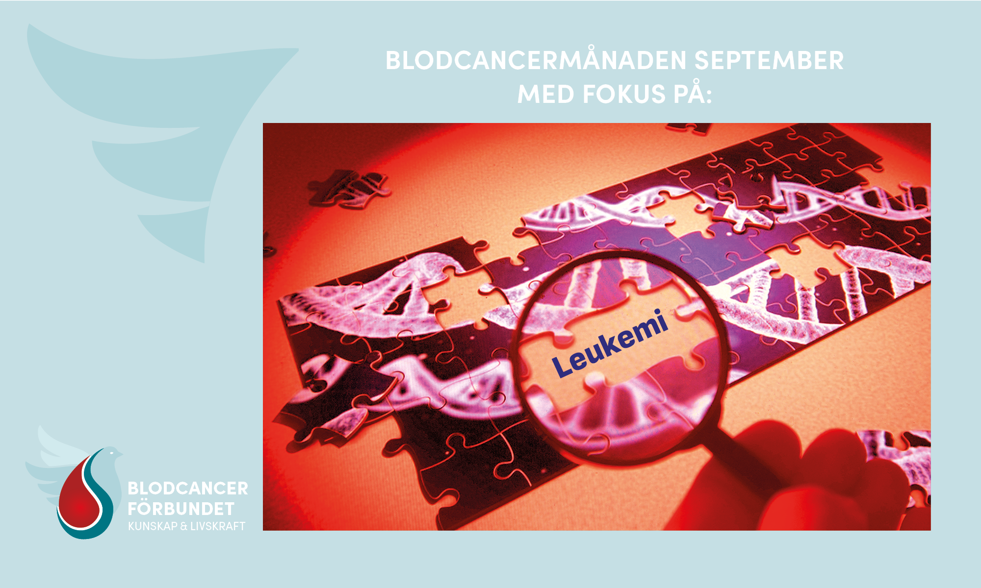 1500X900 Px Mall Genrebilder Blodcancermånaden September M Blodcancerdagsgrafik Leukemi