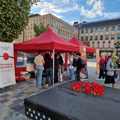 Blodcancerf Ljusmanifestationen 2025 20250903 161619 Vi Tar Emot Besökare Vid Tälten