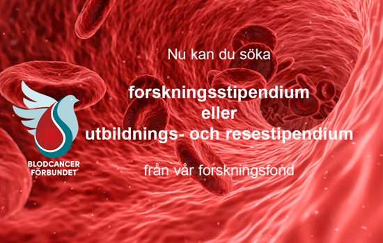 Blodaderinsidan Blodplattar 1400Pxb BLCF Ansökan Stipendier 2026