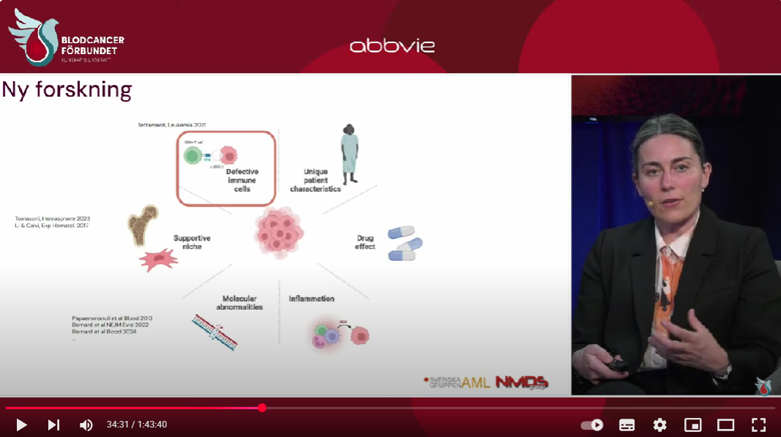mds föreläsning 2025
