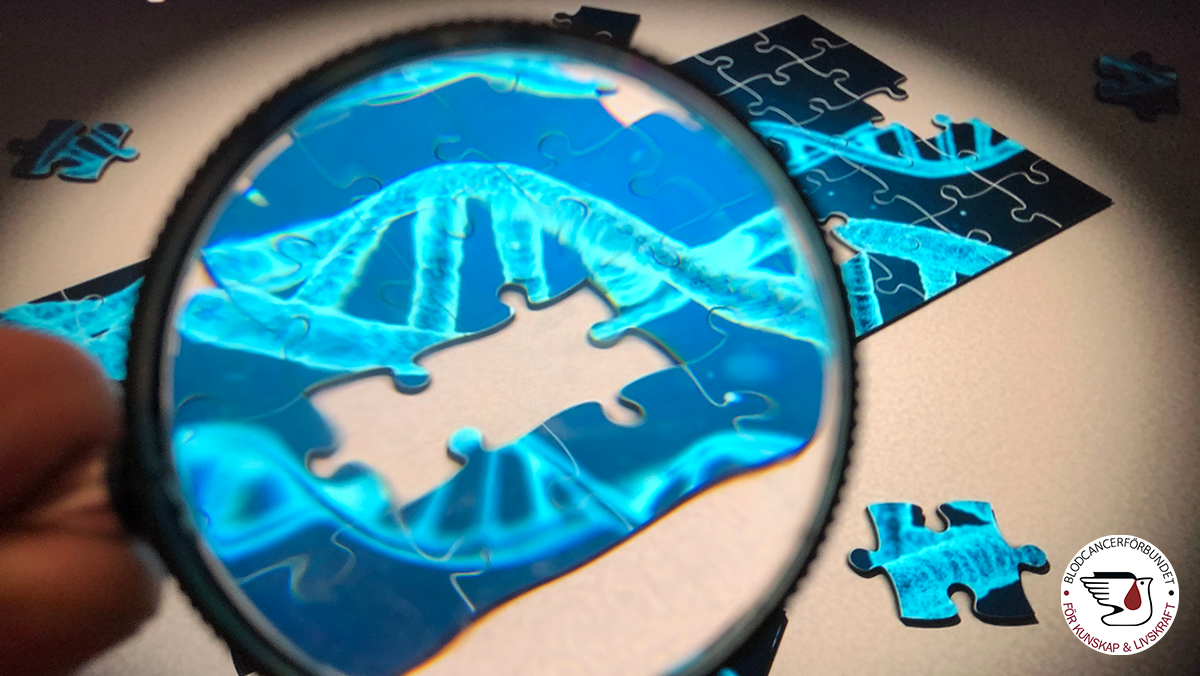 Forskning Pussel Med Fortstoringsglas Fhsj M BLCF Logga 2912 1200Pxb