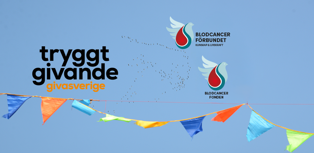 Genrebild Fhsj Framtid Bla Himmel Vimplar Sol Hopp Giva Sverige O BLCF Logotyper Fonden Och Förbundet