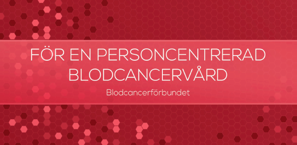 Skärmavbild 2019 09 16 Kl. 11.12.14