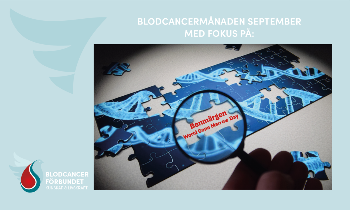 1500X900 Px Mall Genrebilder Blodcancermånaden September M Blodcancerdagsgrafik Patientsäkerhetsdagen 17 Sept