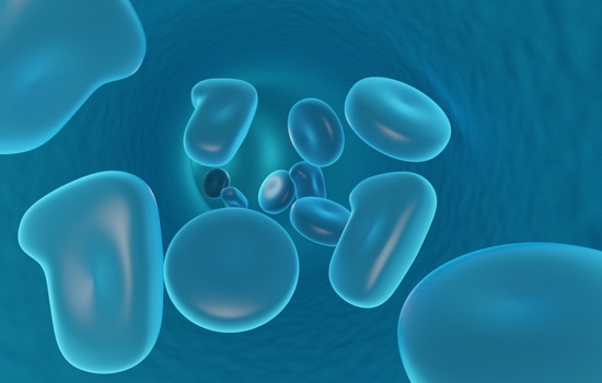 Blood Cells 2177469 Pixabay Lela Maffie