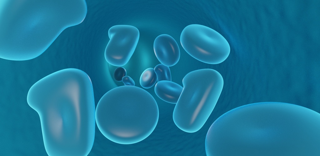 Blood Cells 2177469 Pixabay Lela Maffie