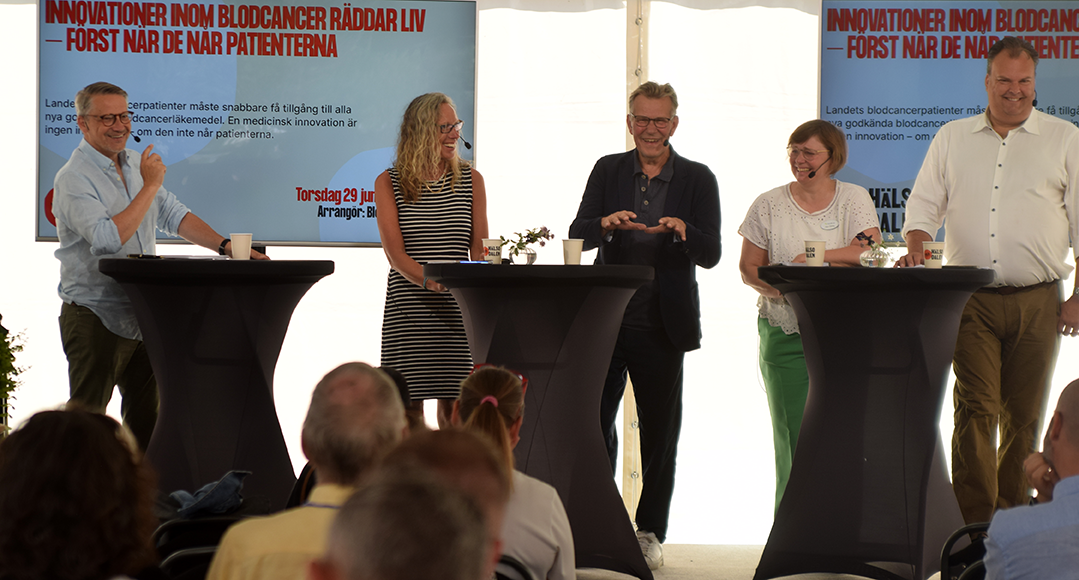 Almedalen BLCF Debatt Fhsj DSC 0062 72Dpi