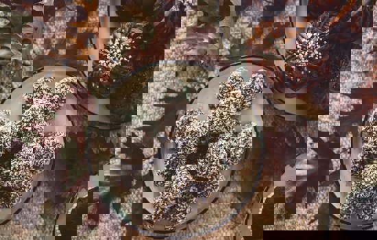 Elin Gann Xbb6qmpgmv0 Unsplash