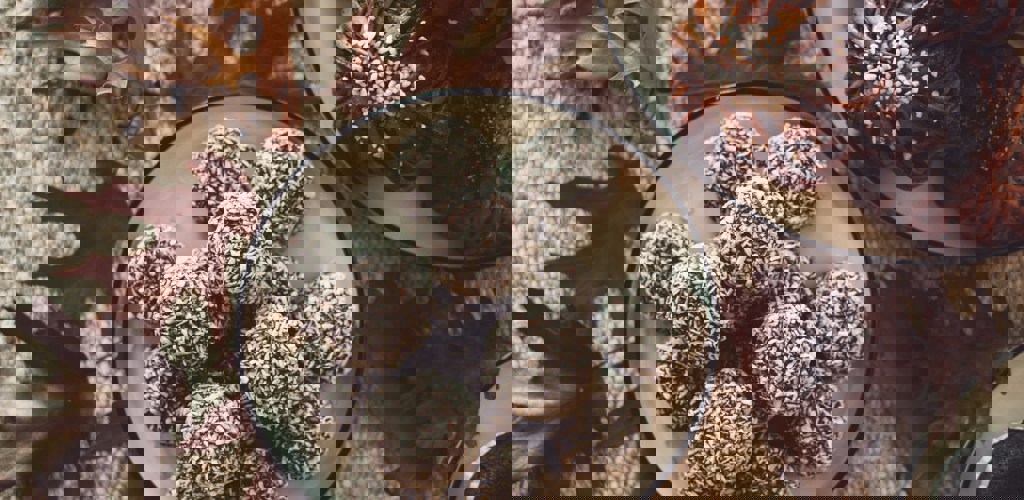 Elin Gann Xbb6qmpgmv0 Unsplash