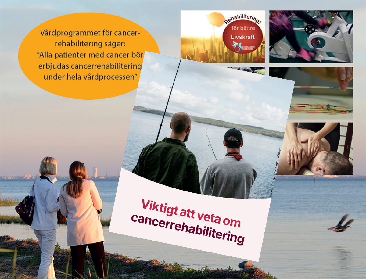 Rehab Traning Pushbild Collage Hsj BLCF M Rehabbroschyr RCC