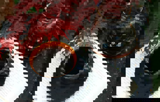 Elin Melaas Hgsfvopz7bo Unsplash