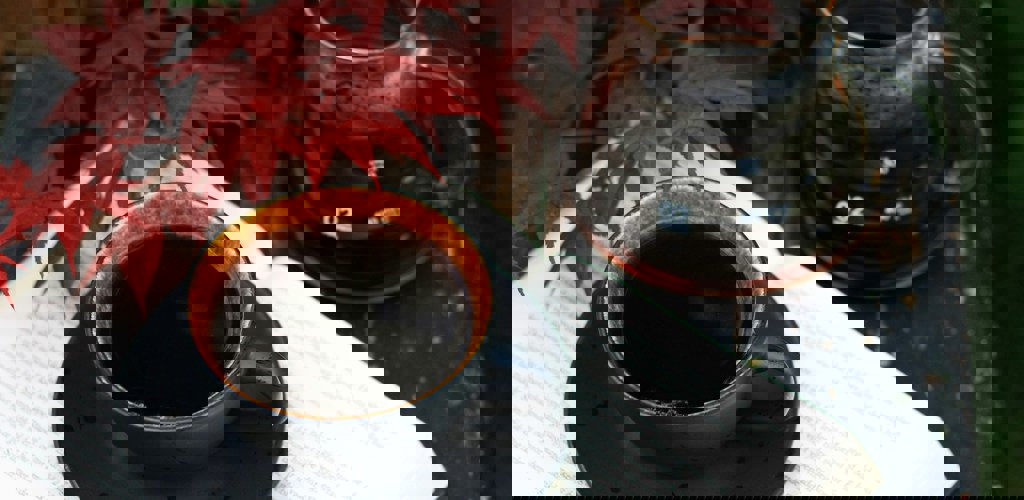 Elin Melaas Hgsfvopz7bo Unsplash