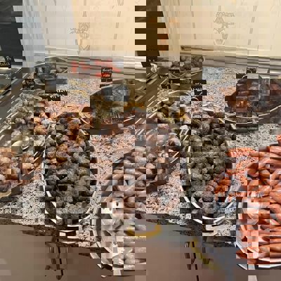 319081717 542852737483934 9100125947031635598 N