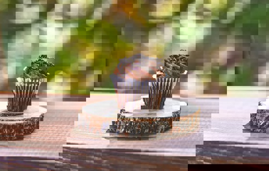 Ibrahim Boran Q9kufbgzgna Unsplash