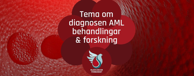 aml startbild videosändning 19 nov 2024
