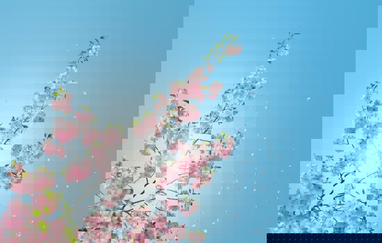 Anders Jilden O85h02qz24w Unsplash