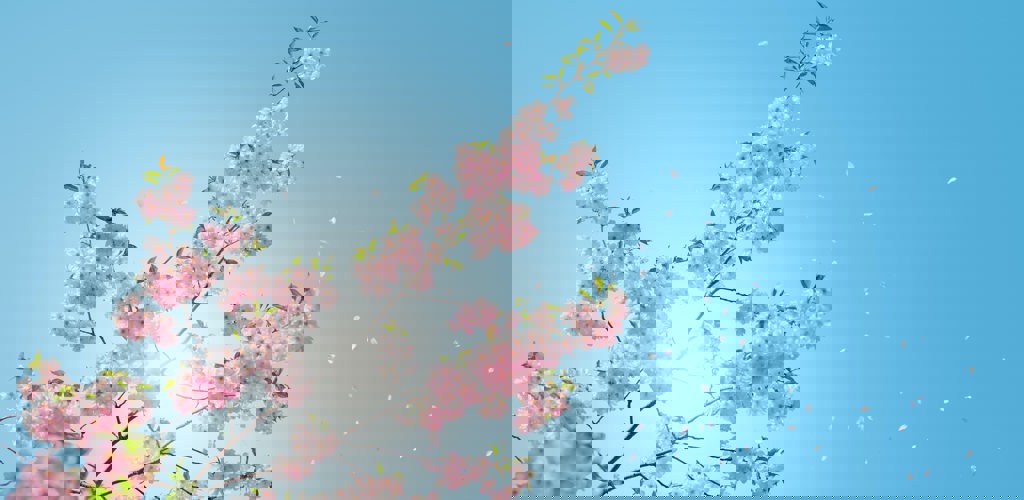 Anders Jilden O85h02qz24w Unsplash