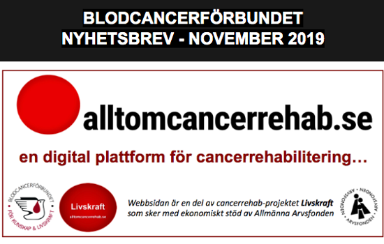 Skärmavbild 2019 12 02 Kl. 07.50.00