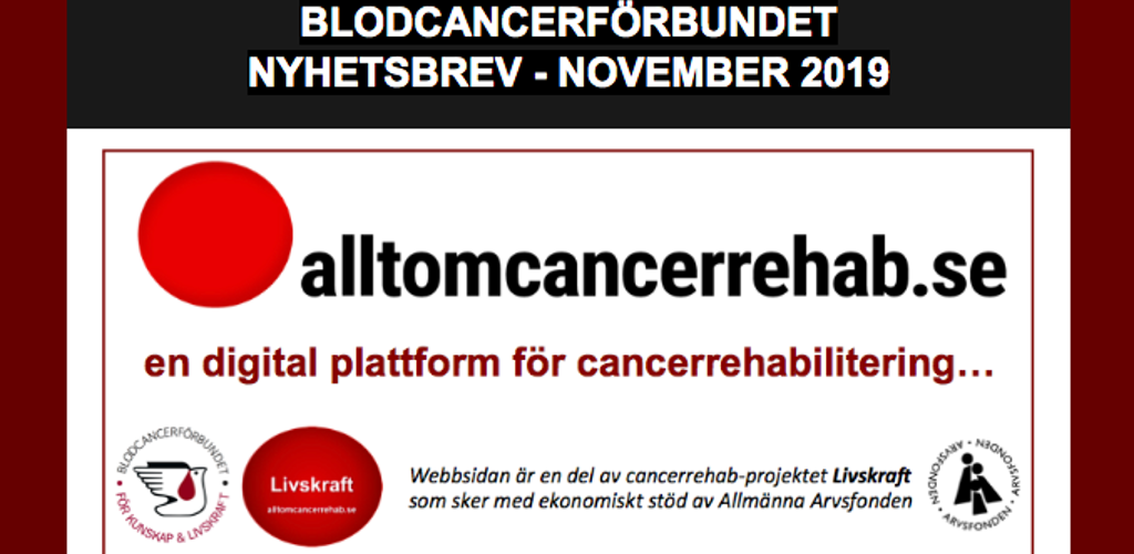 Skärmavbild 2019 12 02 Kl. 07.50.00