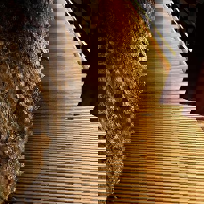 448398297 10229030335715465 6072451061566246317 N