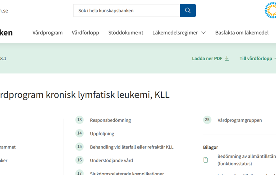 KLL Vardprogram RCC Skarmdump