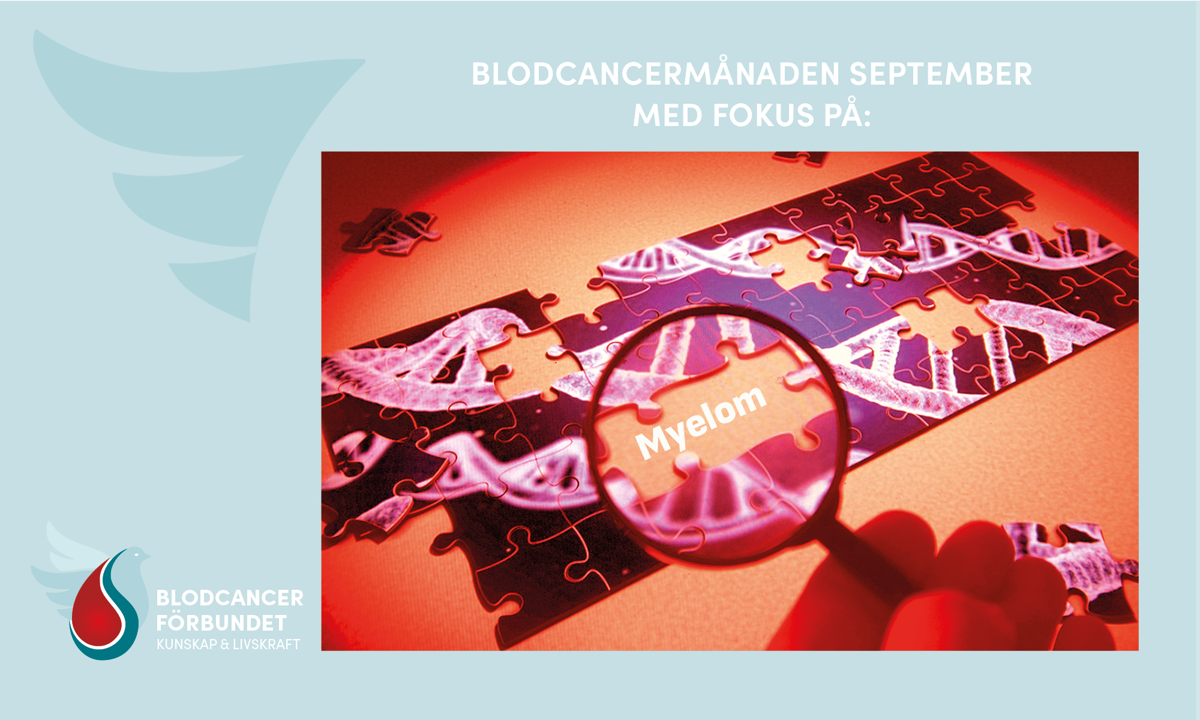 1500X900 Px Mall Genrebilder Blodcancermånaden September M Blodcancerdagsgrafik Myelom