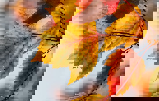 Aaron Burden Aa3altixegy Unsplash