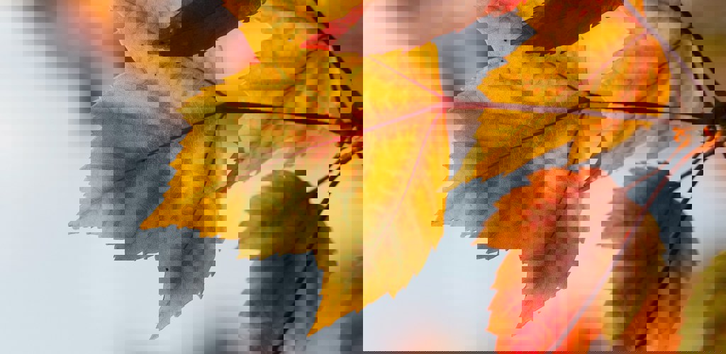 Aaron Burden Aa3altixegy Unsplash