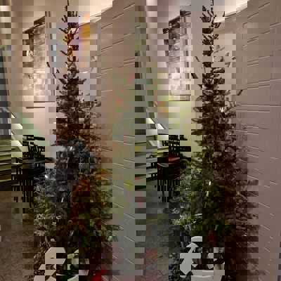 E836d9cb 5F19 417B Be18 49Ffa2c6d5ab