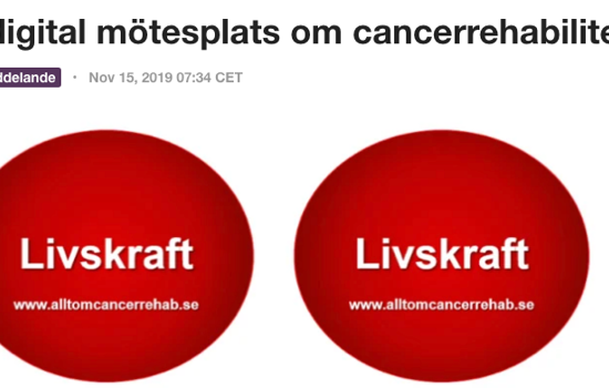 Skärmavbild 2019 11 15 Kl. 07.56.26