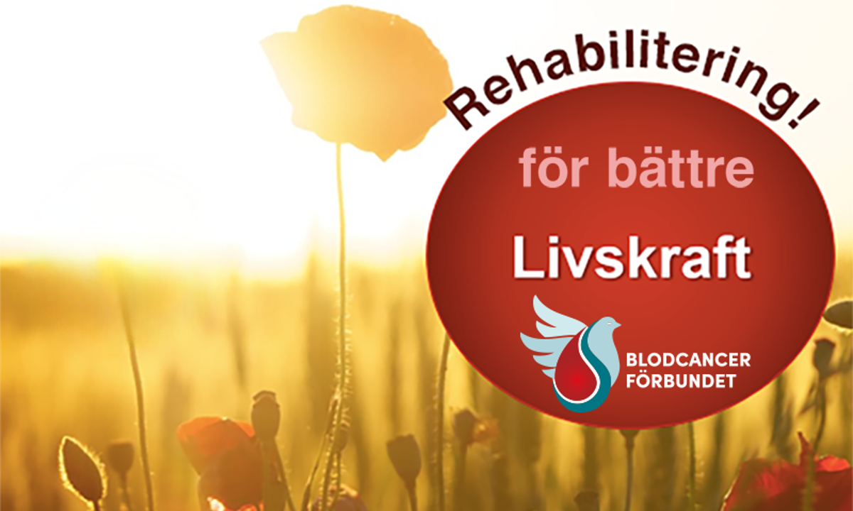 Livskraft Genrebild BLCF Rehabilitering 1 Skarmavbild Beskuren 800Pxb Med Nya Blcfloggan