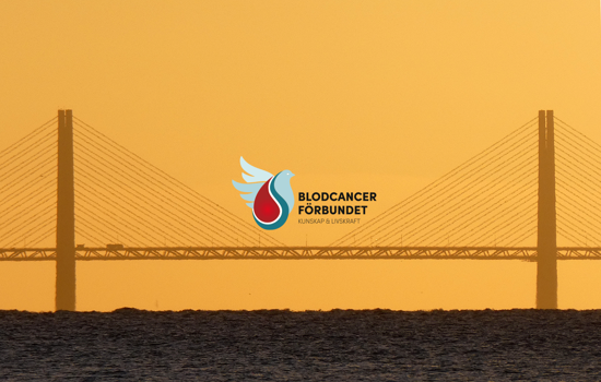 BLCF Brobyggare Med Nya Logotypen 2024 Fhsj Logga 1300Pxb Karusellbild 2