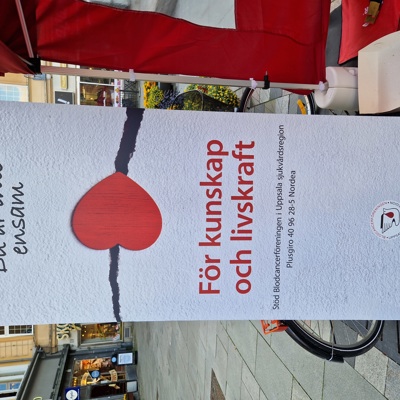 Blodcancerf Ljusmanifestationen 2025 20250903 174908 Roll Up