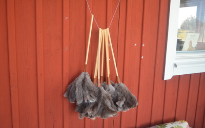 Strutsfarm 2019 027 Dammvippor