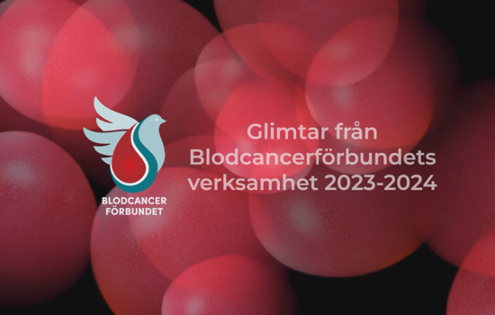 Startbild Blcfs Verksamhetsfilm 2023 2024