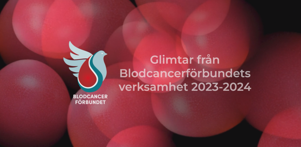 Startbild Blcfs Verksamhetsfilm 2023 2024