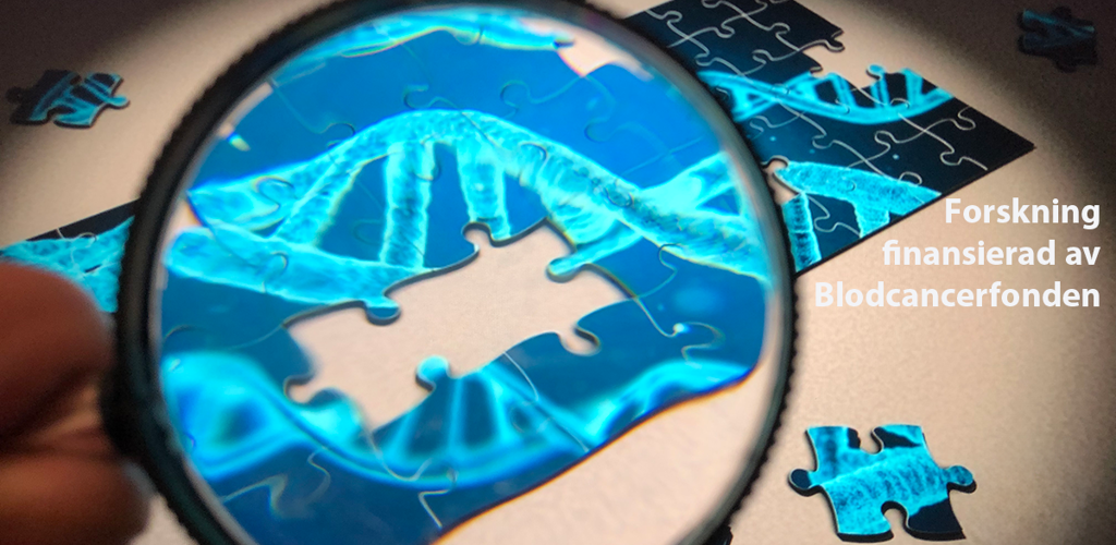 Forskning Pussel Med Fortstoringsglas Fhsj M BLCF Logga 2912 1200Pxb